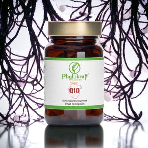 Q10 Coenzym 100 mg mit 60 Kapseln