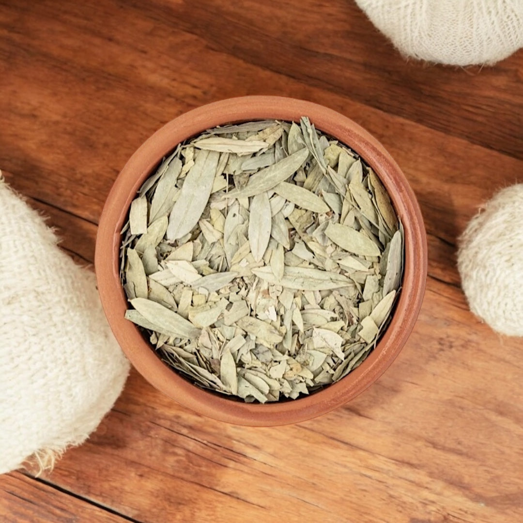 Senna Blätter Sana Makki in Kräutertee Qualität