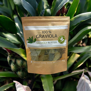 Graviola Blaetter Soursop 100 g aus Sri Lanka