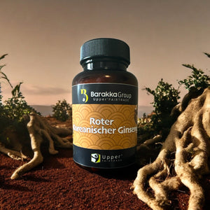 Roter Koreanischer Ginseng Roter Panax Premium
