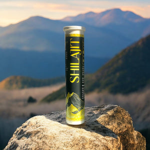 Shilajit Brausetabletten Sportmix mit 20 Tabletten