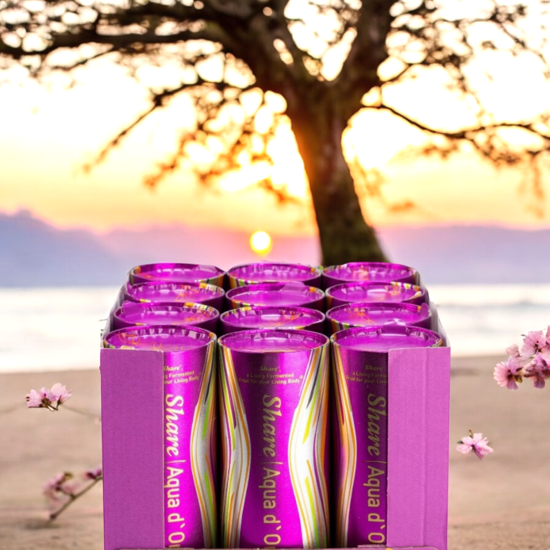 GESUNDER ASIA DRINK FERMENTIERT