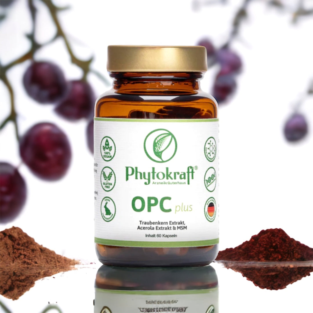 OPC Acerola MSM mit 60 veganen Kapseln