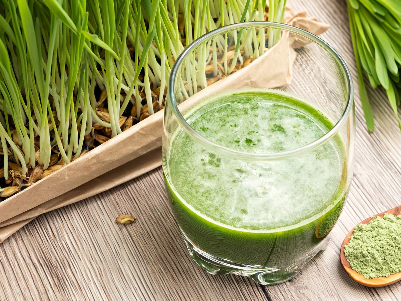 Bio Gerstengras Pulver aus Deutschland 200 g