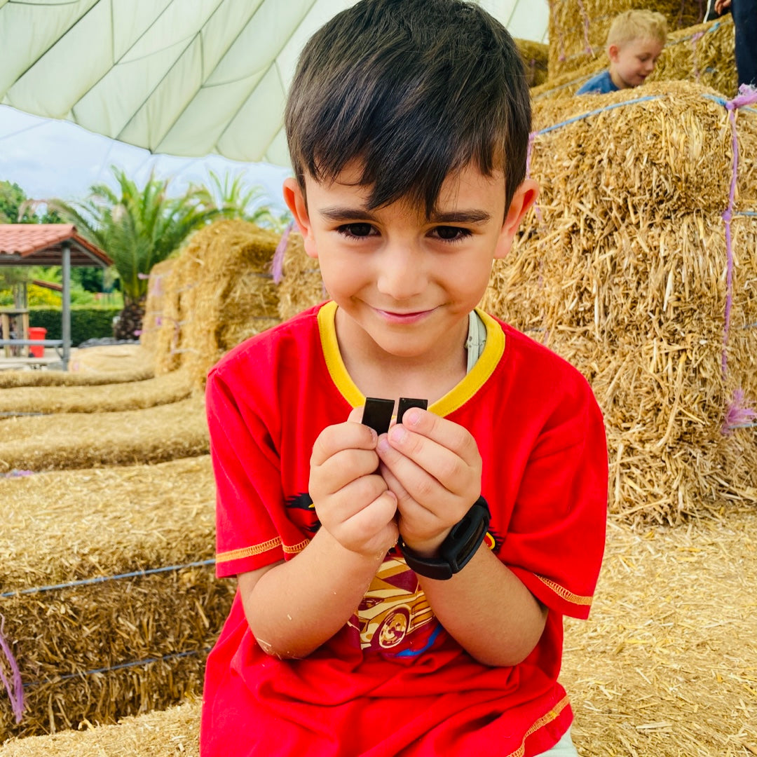 Schungit Stein Handyplatte mit Anhaenger