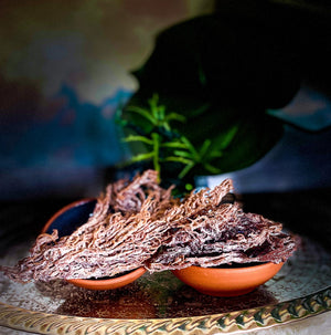 Sea Moss Golden Mixed Purple aus der Karibik